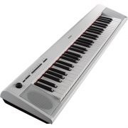 NP12(2)