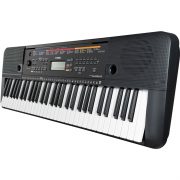 PSR-E263(1)