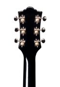 s100_polara_black_hs_back1-484x705