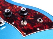 tbird_st_blue_detail3-705x529