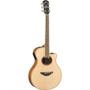 APX700II Nat