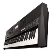 PSR-E463 1